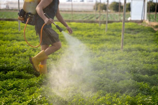 Pest Control Cost in Mohnton, PA