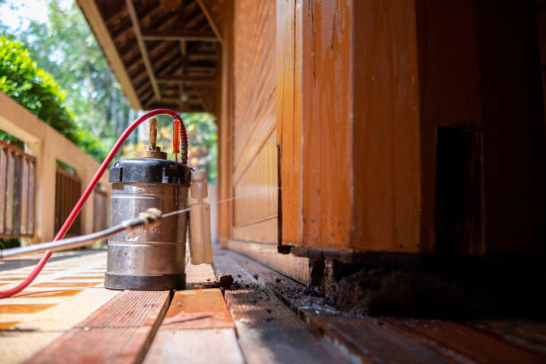 Pest Prevention Services in Mohnton, PA