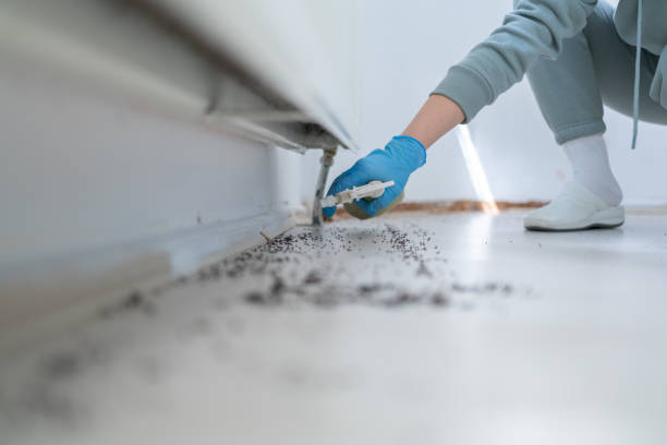 Best Local Pest Control Services  in Mohnton, PA